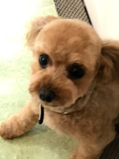 ここちゃん♡