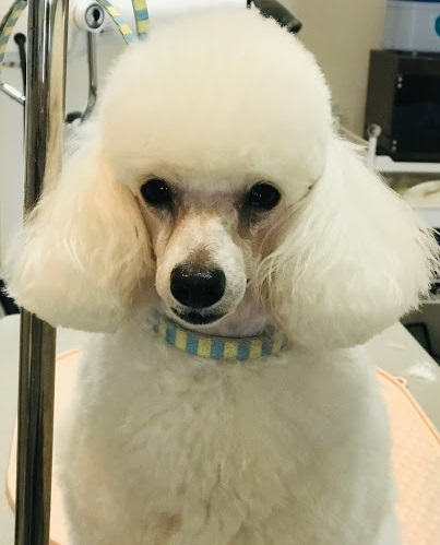 リリーちゃん♡
