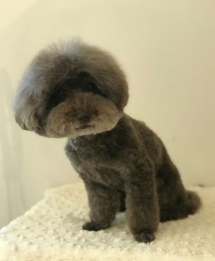 三郎くん♪