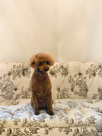 福くん♪
