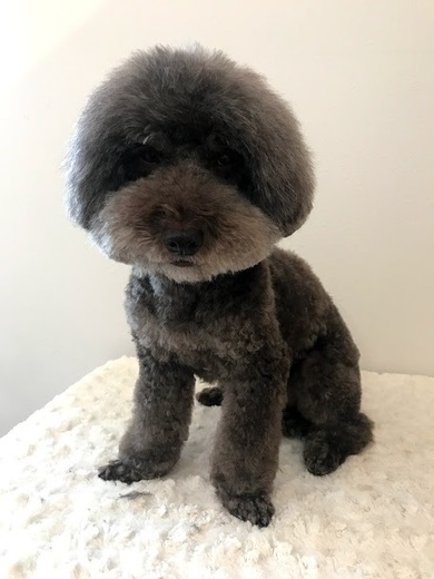 三郎くん♪