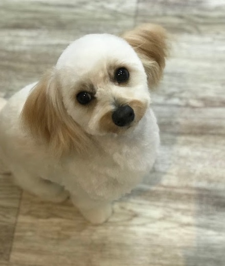 シェリちゃん♡