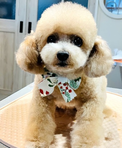 モコちゃん♡
