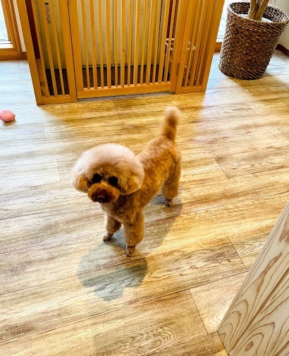 コロちゃん♡