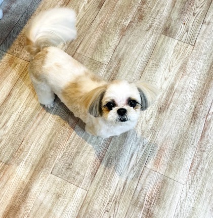 ミユちゃん♡