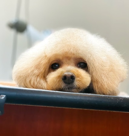 ムースちゃん♡