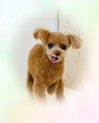 ベリーちゃん♡