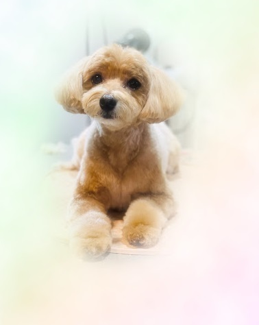 ダイチくん♪