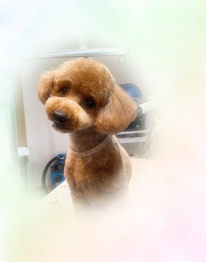 そらくん♪
