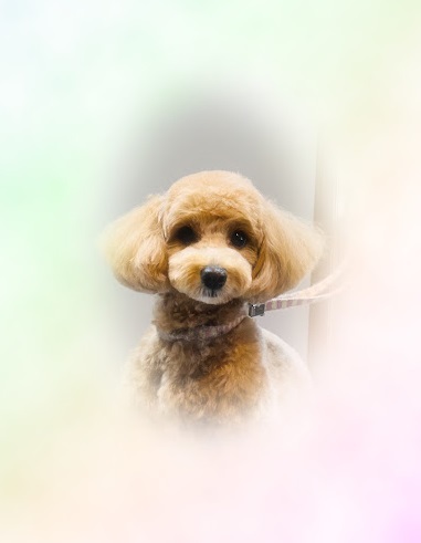 ナツちゃん♡