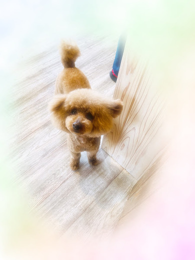 福くん♪