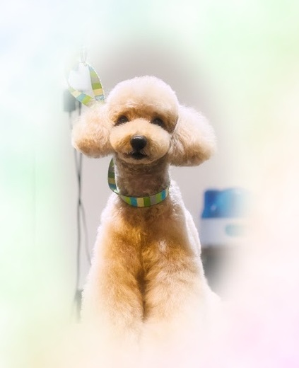 ライムくん♪