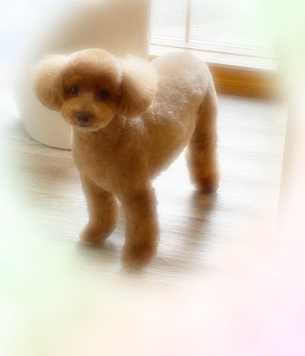 シオンくん♪