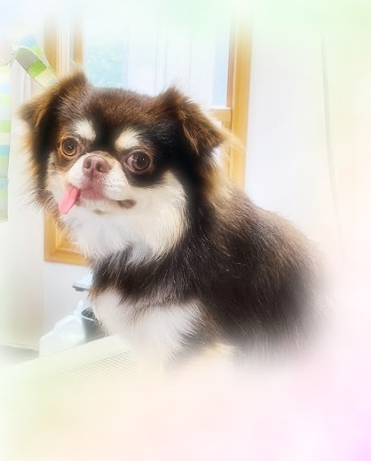 諭吉くん♪
