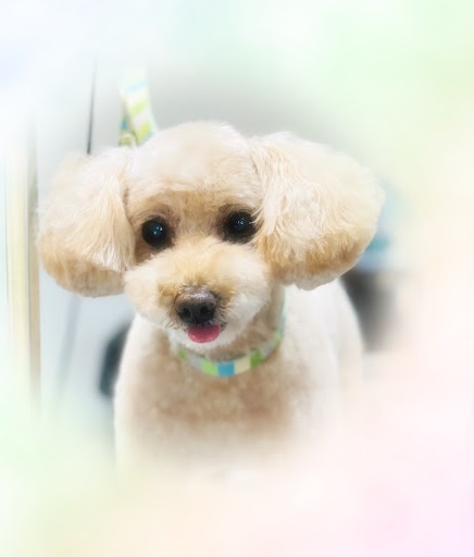 ココちゃん♡