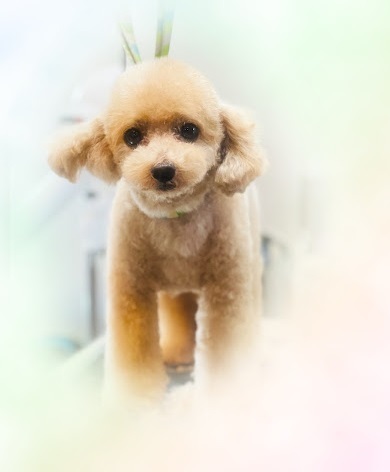 もこちゃん♡