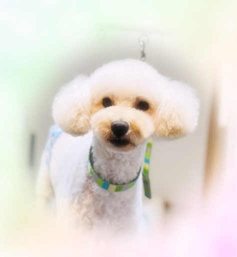 ヒコくん♪エデンくん♪