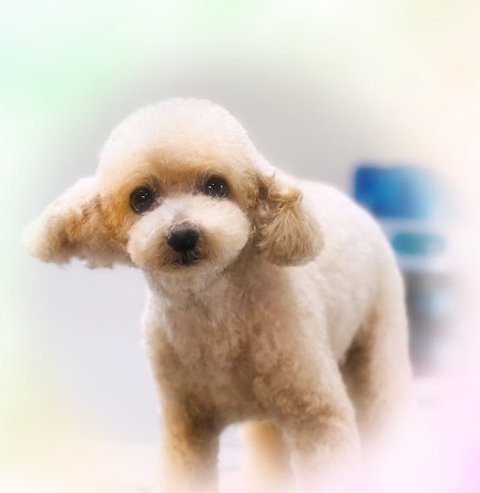 もこちゃん♡