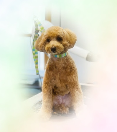 ナツちゃん♡