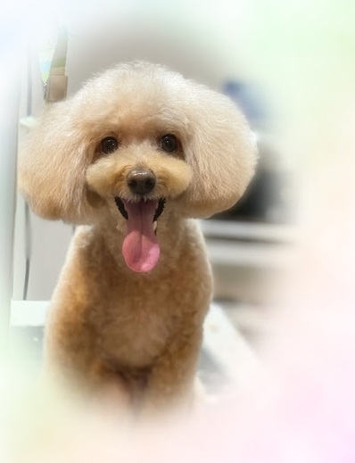 ムースちゃん♡