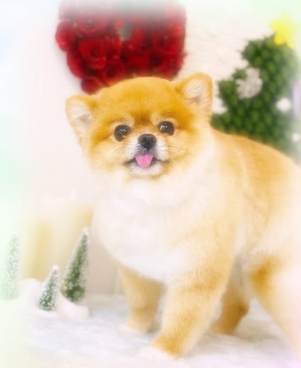ななちゃん♡