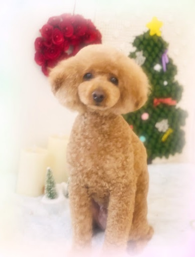 福くん♪