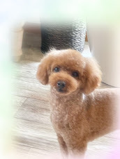 ソラくん♪