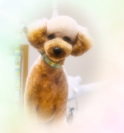 レムくん♪