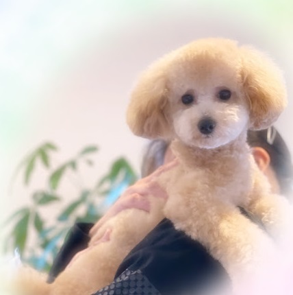 アムくん♪