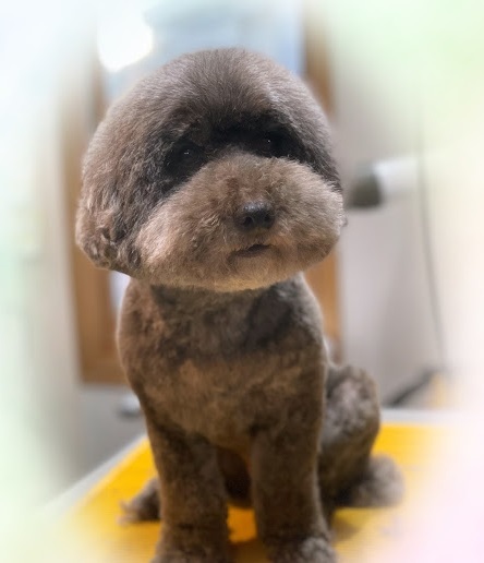 三郎くん♪