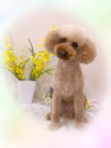 りんちゃん♡