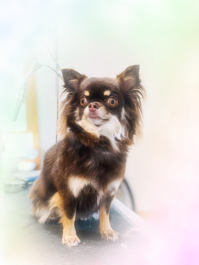 うたちゃん♡