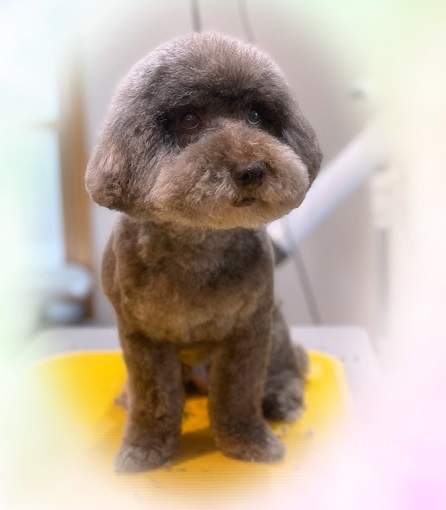 三郎くん♪