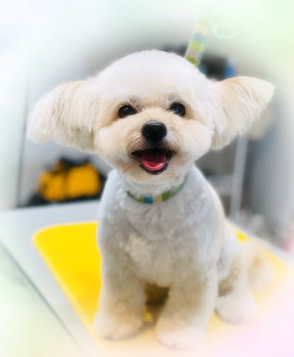 もこくん♪