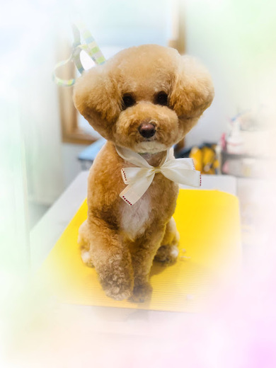サラちゃん♡