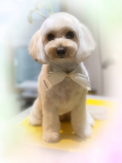シェリちゃん♡