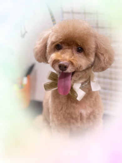 もこくん♪