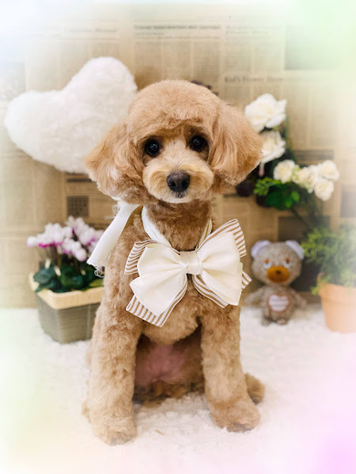ナツちゃん♡