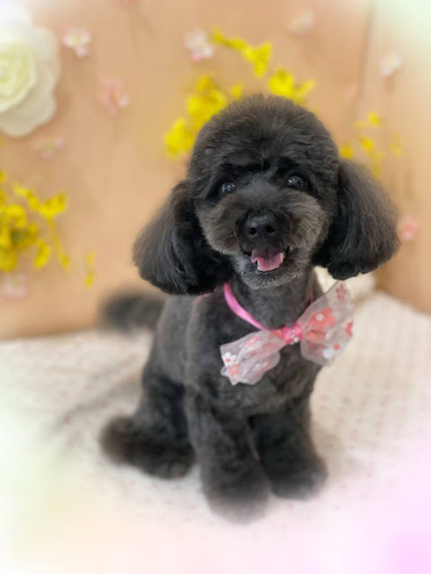 ルコちゃん♡