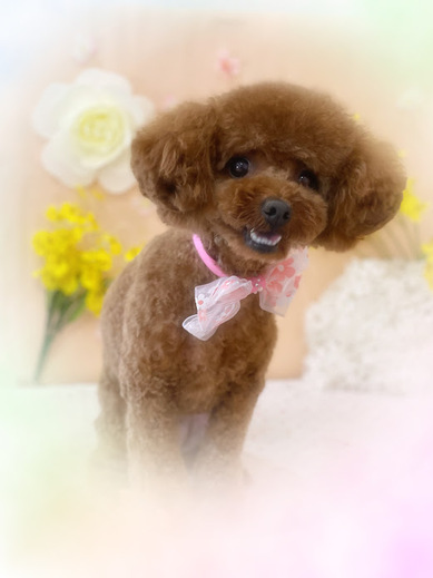 かのんちゃん♡