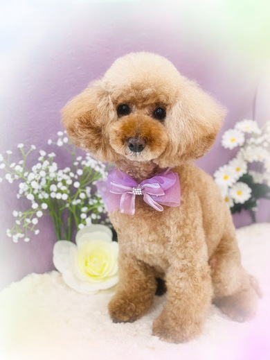 ひなちゃん♡