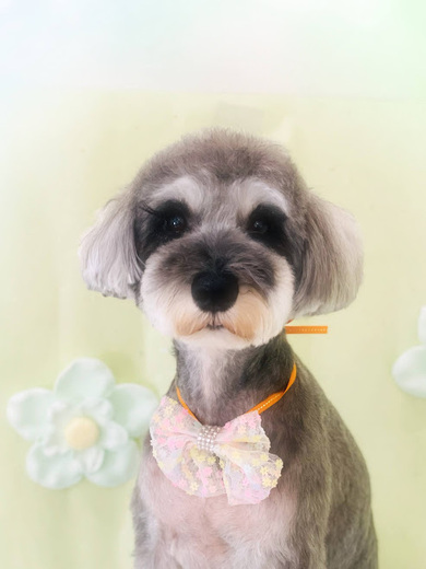 こてつくん♪