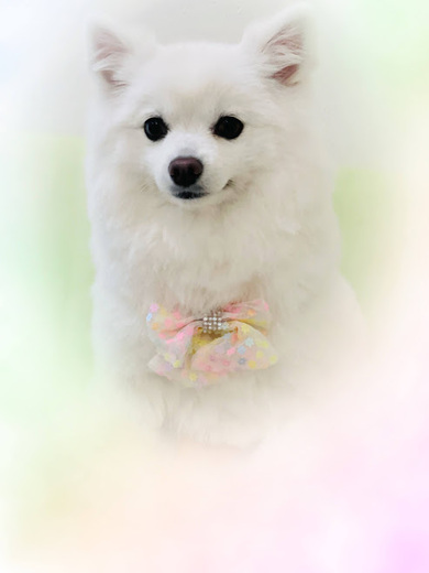 クルムちゃん♡