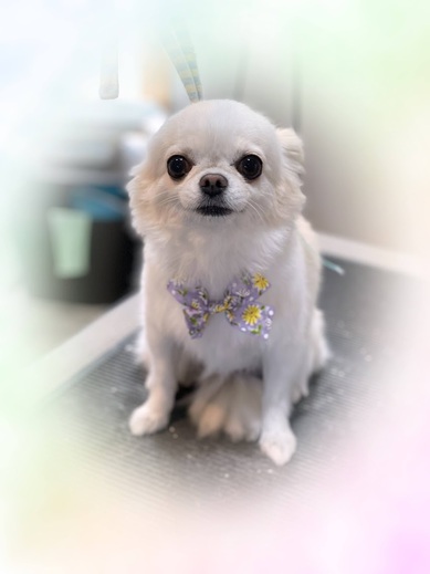 きんたくん♪にこちゃん♡