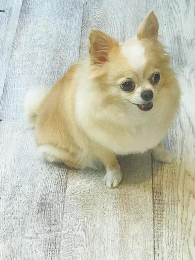 メイちゃん♡
