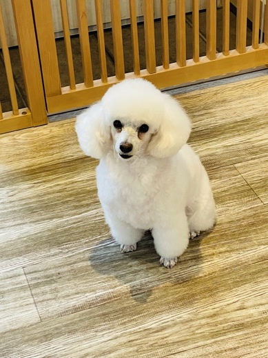リリーちゃん♡