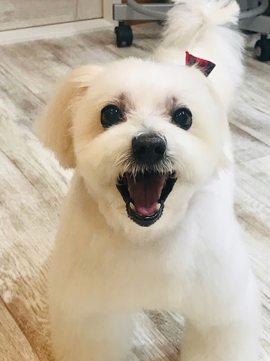 マロくん♪