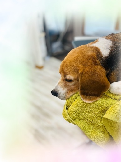 新くん♪