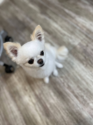 キンタくん♪ニコちゃん♡