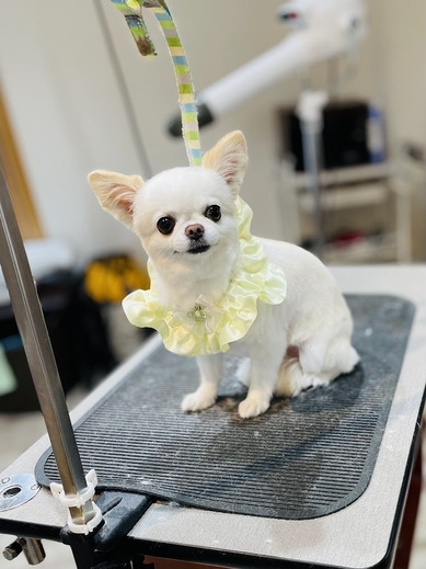 にこちゃん♡